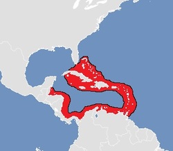  Range Map