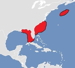  Range Map