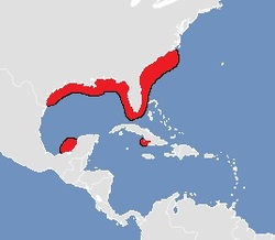  Range Map